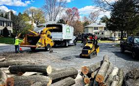 Best Tree Preservation Services  in Winnebago, IL